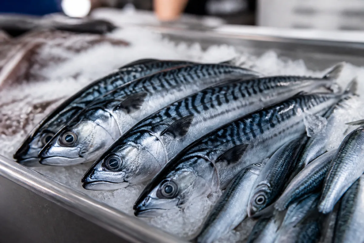 Étal de poissonnerie garni de poissons entiers sur glace pilée